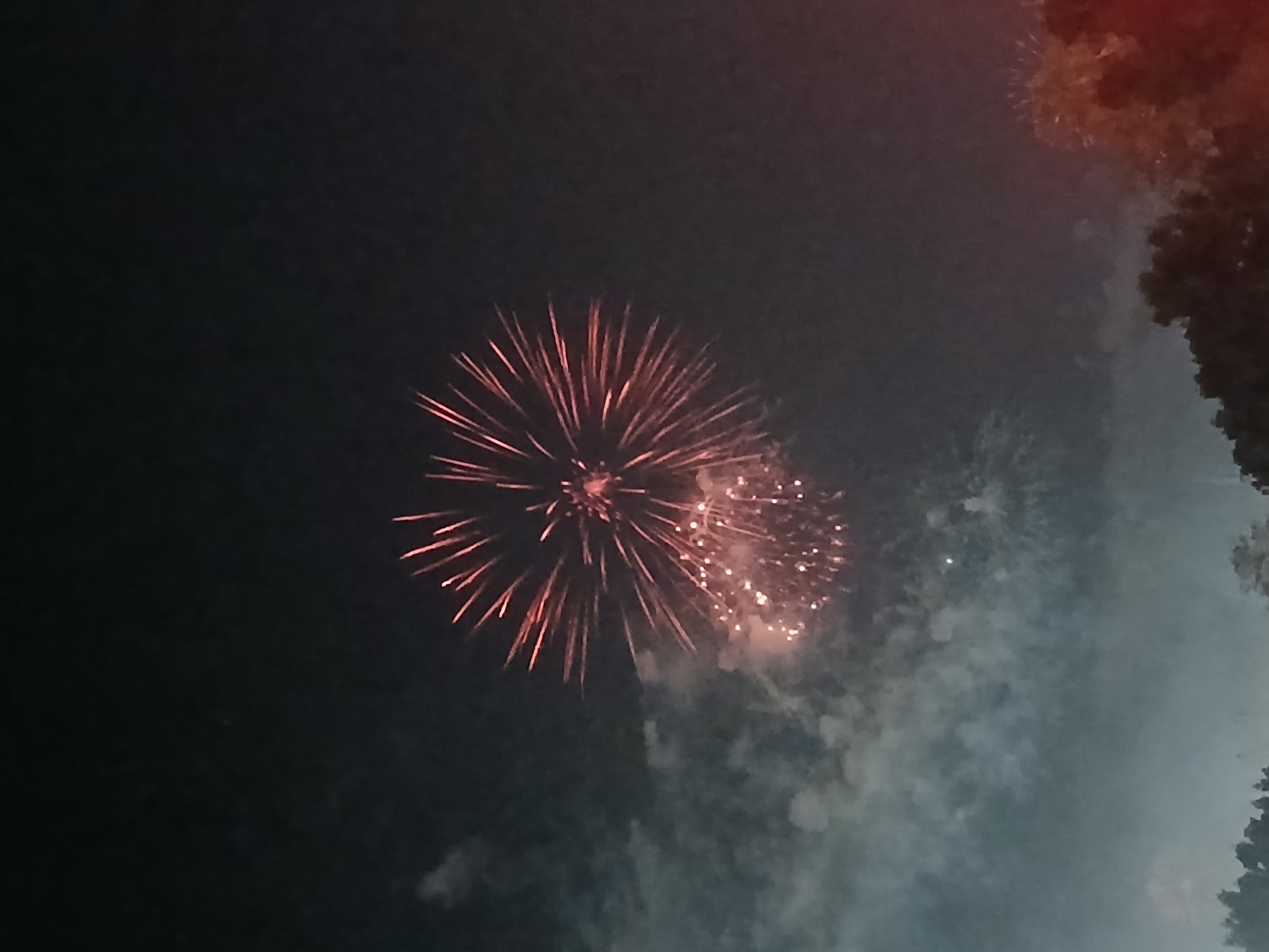 A firework explodes in the dark night air, spreading into bright and smoking sparks falling in every direction.