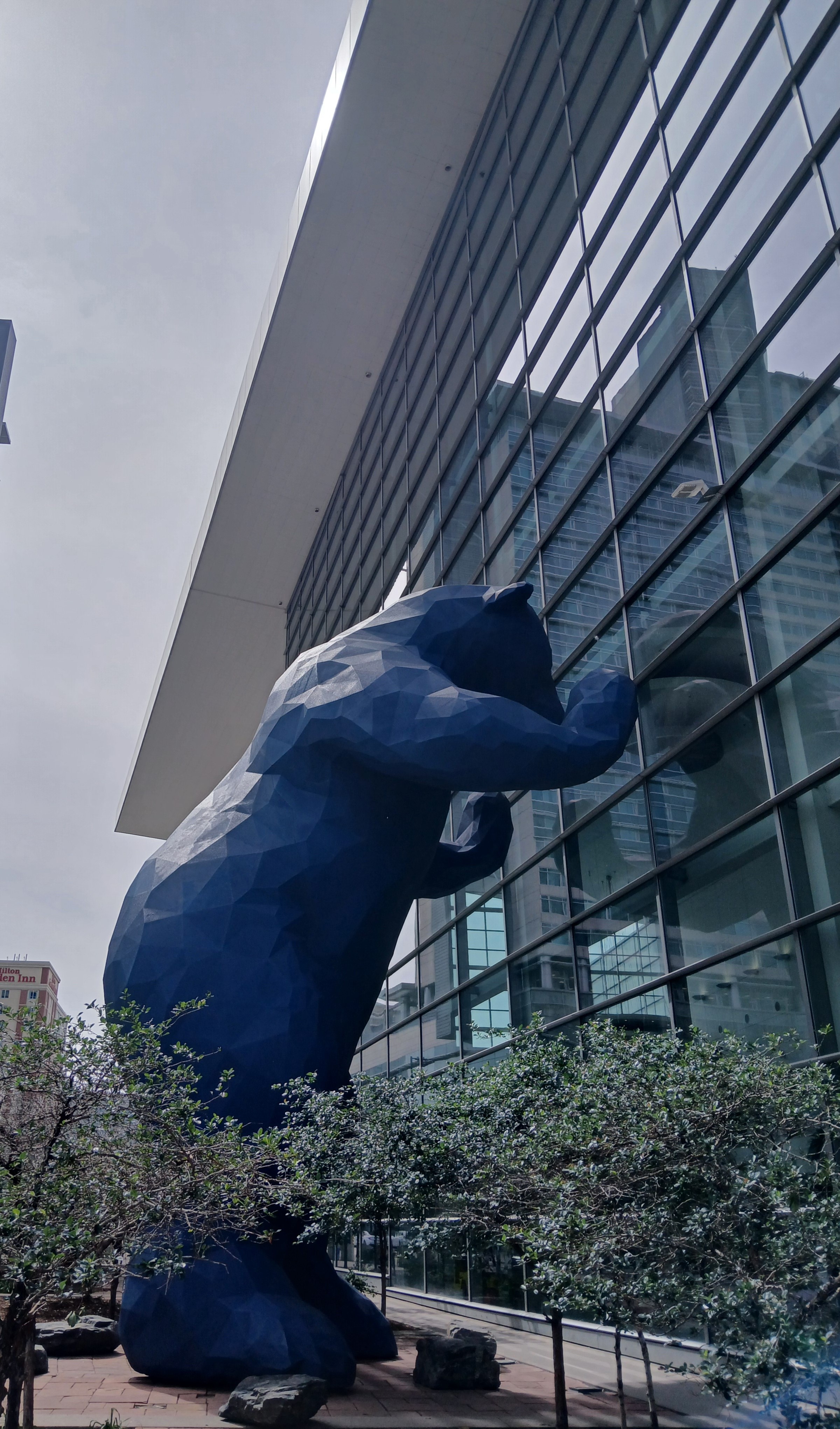 The Blue Bear statue outside the Colorado Convention Center looks through an exterior window.