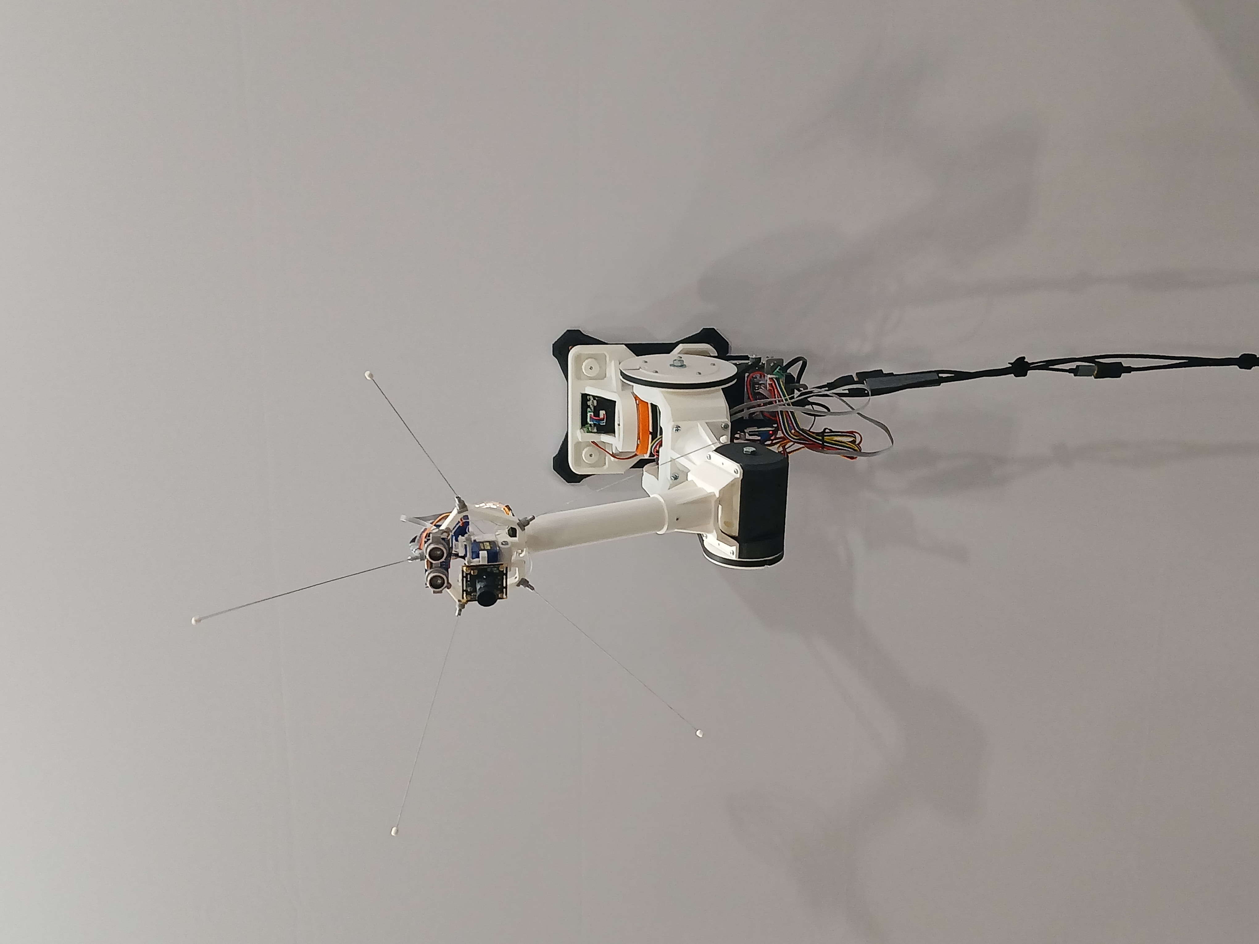 Yamin Xu's No. 5 mounted on a wall at the art exhibition Saturday evening.