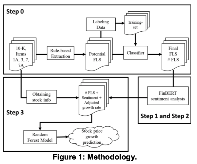 Future Looking Statements System