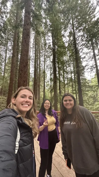 Image of Redwood Tree Trail and Friends
